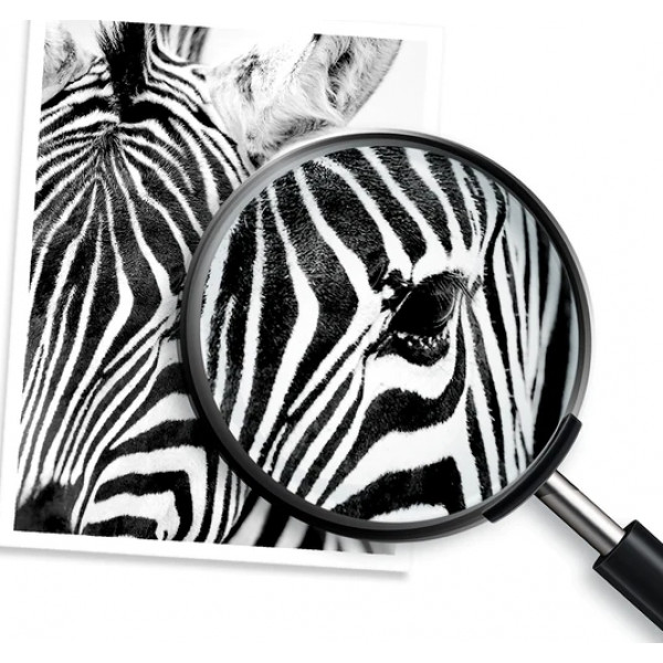 Фото - Картридж для лазерных принтеров/МФУ HP 87X LJ M527c/M506dn/M506x/M527dn/M527f Black (18000 стр) (CF287X)