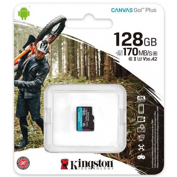 Фото - Карта памяти Kingston microSDXC 128GB C10 UHS-I U3 A2 Canvas Go Plus (SDCG3/128GBSP)