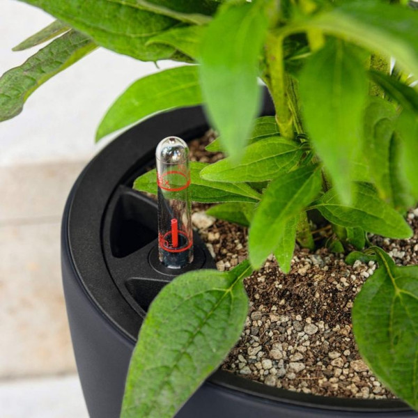 Фото - Вазон Lechuza CLASSICO Color LS 43 Серый (14291)