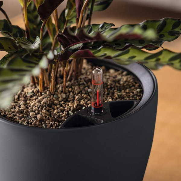 Фото - Вазон Lechuza CLASSICO Color LS 43 Серый (14291)