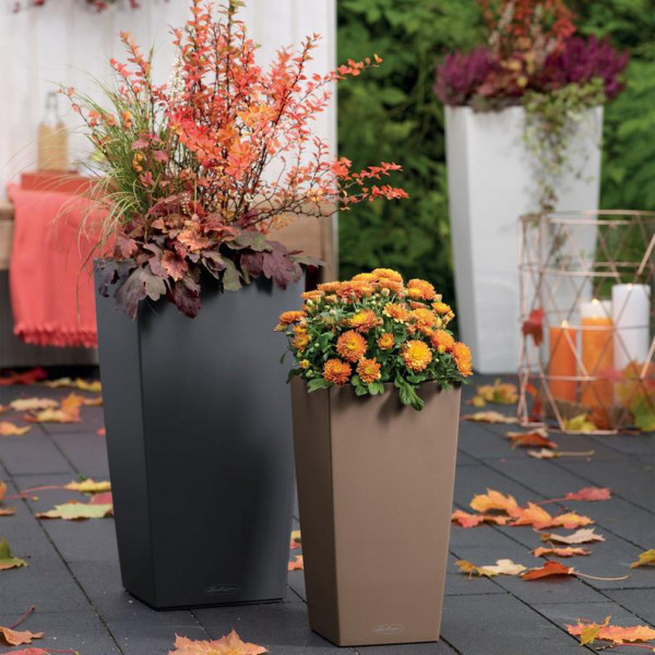 Фото - Вазон Lechuza 30/56 CUBICO Color Серый 13138