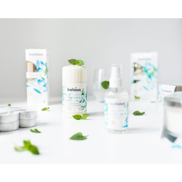 Фото - Аромадиффузор Bolsius 45мл in balance Белый чай и листья мяты (806713)