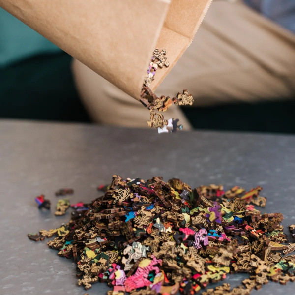 Фото - Пазлы (8+) Trefl "Волшебный мир" (500 + 1 элм.) (20156)