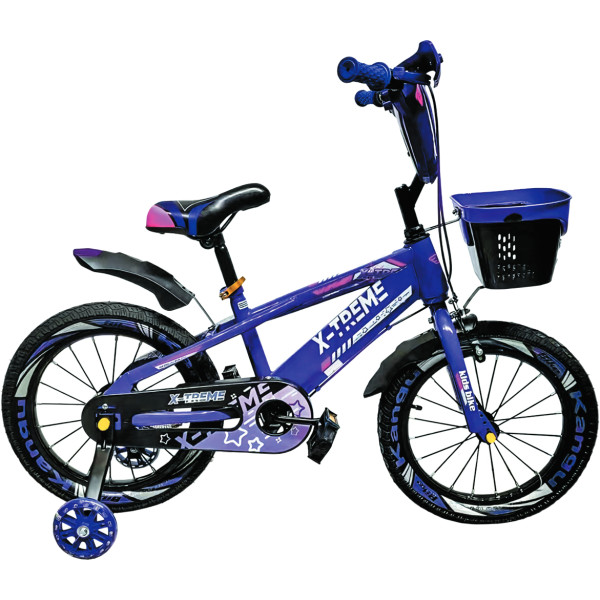 Фото - Двухколёсный велосипед X-Treme KANGU 25.16-02 Violet