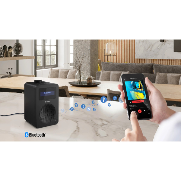 Фото - Радиоприемник Sharp DR-430(BK)