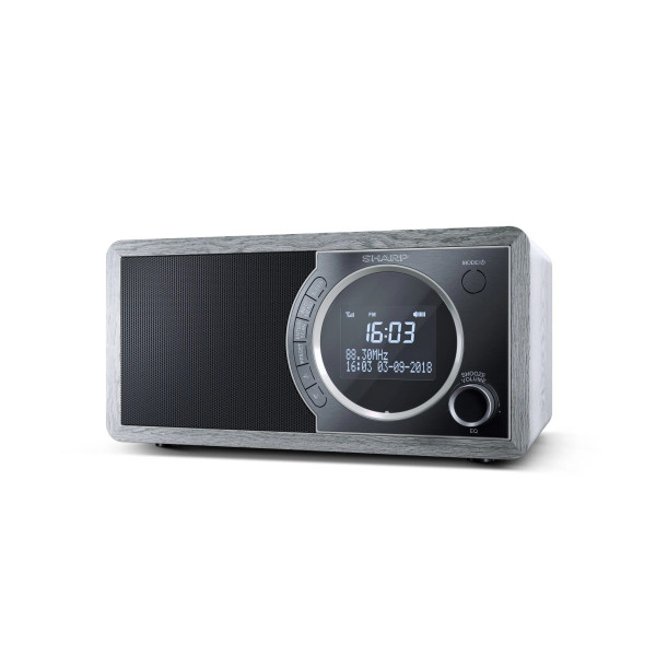 Фото - Радиоприемник Sharp DR-450(GR)