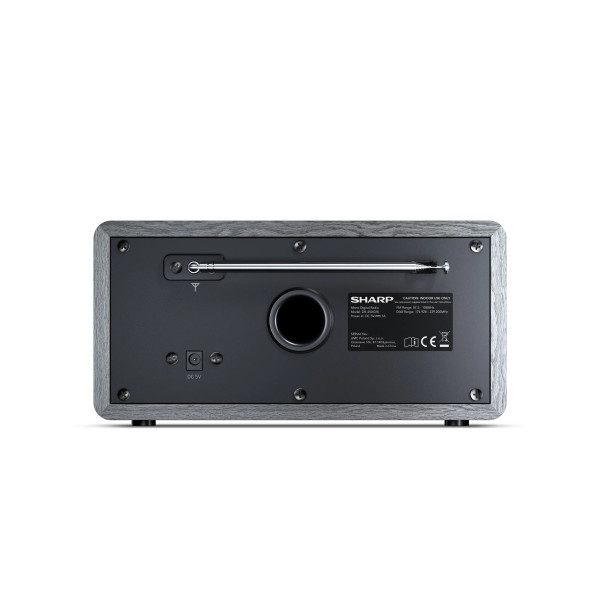 Фото - Радиоприемник Sharp DR-450(GR)