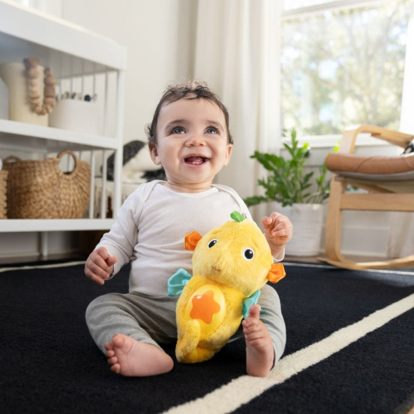 Фото - Интерактивная игрушка Baby Einstein Sea Dreams Seahorse (17400.00)