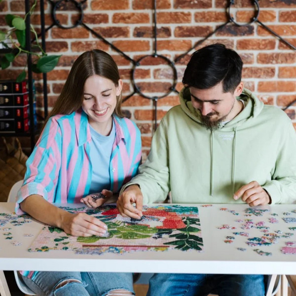 Фото - Пазлы (5-7 лет) Trefl Искусство цвета – Нет лучшего места, чем дом 1000 элм. (10892)