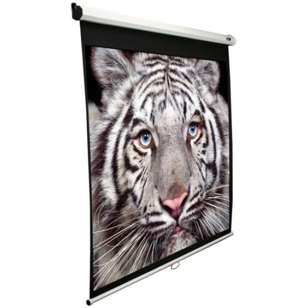 Фото - Экран Elite Screens M120XWV2