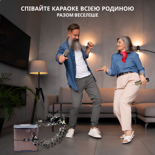 Фото - Портативная акустика INSPIRE YS-213 Black с 2 микрофонами