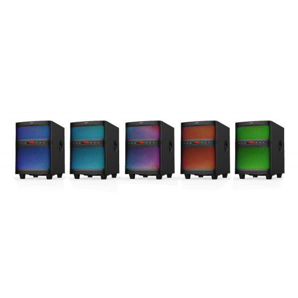 Фото - Компьютерная акустика 2.1 F&D T-200X Black