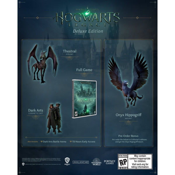 Фото - Игровой диск PS4 Hogwarts Legacy Deluxe Edition [PS4, Blu-Ray диск]