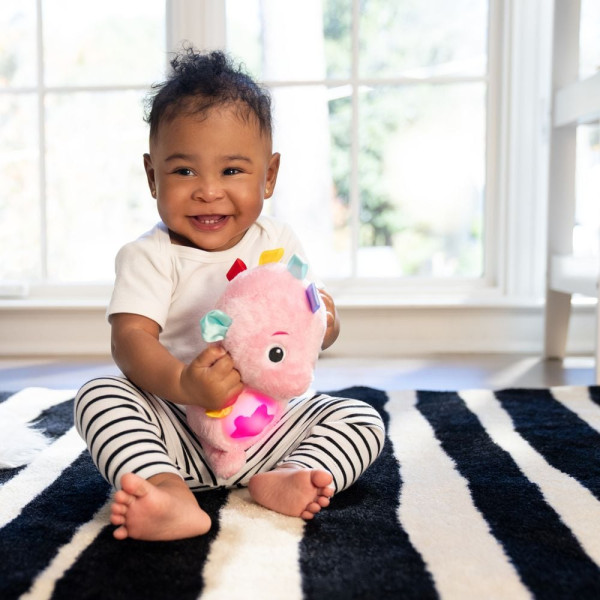 Фото - Интерактивная игрушка Baby Einstein Sea Dreams Seahorse (17400.13)