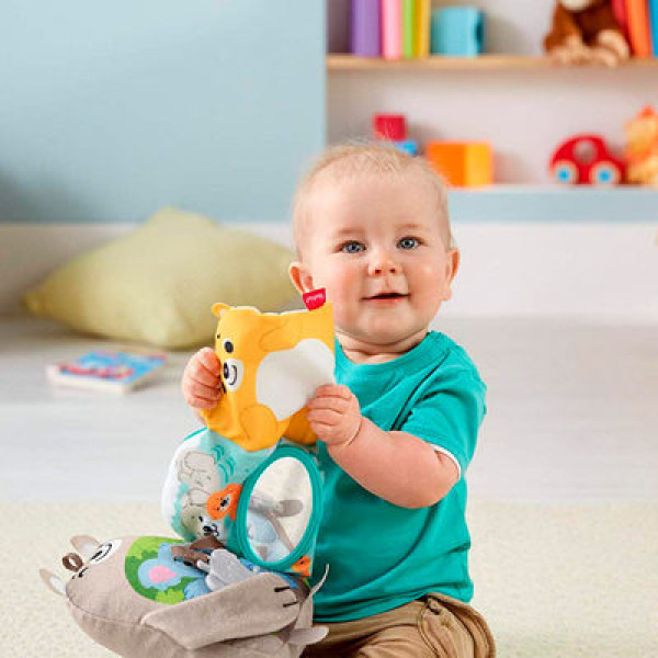 Фото - Книжка-игрушка Fisher-Price Мягкая книжечка Лесные друзья (GJD37)
