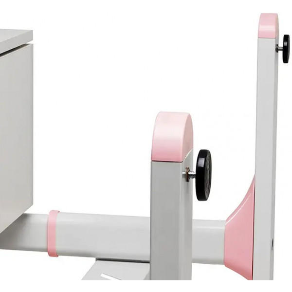 Фото - Парта школьная FunDesk FIORE II PINK (1+1+1)