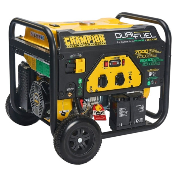 Фото - Генератор двухтопливный Champion 7.0 кВт (CPG7500E2-DF-EU)