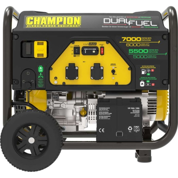 Фото - Генератор двухтопливный Champion 7.0 кВт (CPG7500E2-DF-EU)