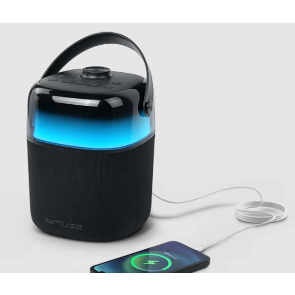 Фото - Портативная акустика Muse M-530 KA караоке