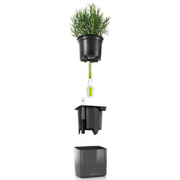 Фото - Набор кашпо Lechuza Green Wall Home Kit Glossy, 48х6х14 см, белый 13523