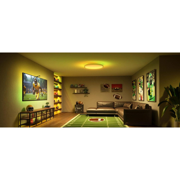 Фото - Умная лампа Govee Smart Ceiling Light Pro White (H60A6C01)