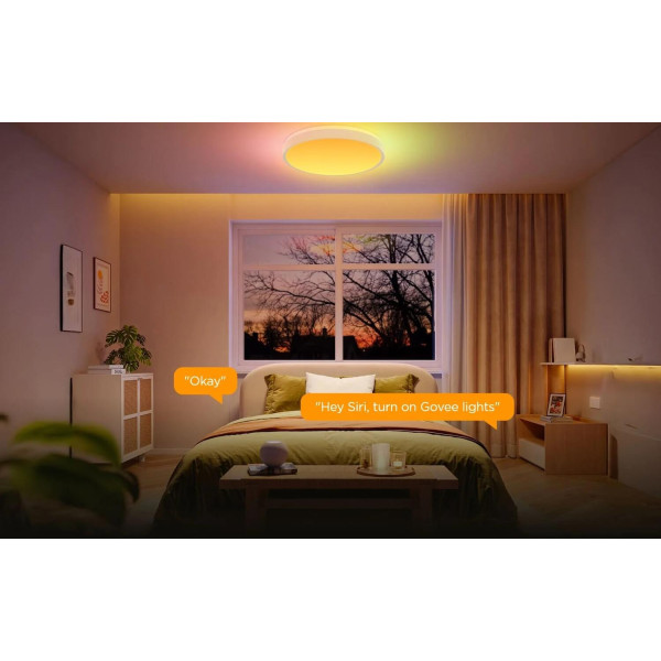 Фото - Умная лампа Govee Smart Ceiling Light Pro White (H60A6C01)