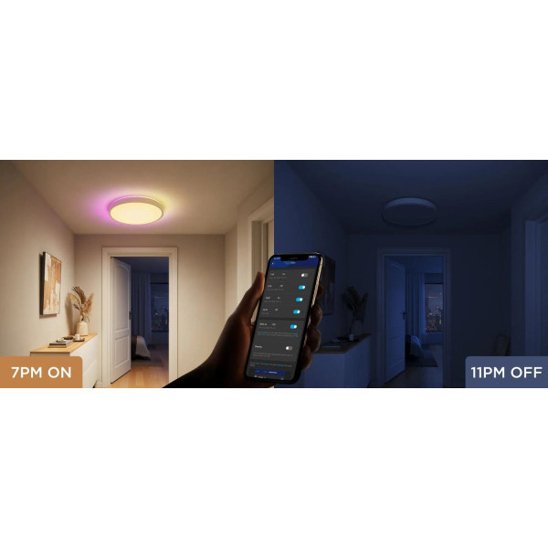 Фото - Умная лампа Govee Smart Ceiling Light Pro White (H60A6C01)