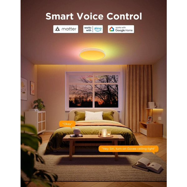 Фото - Умная лампа Govee Smart Ceiling Light Pro White (H60A6C01)