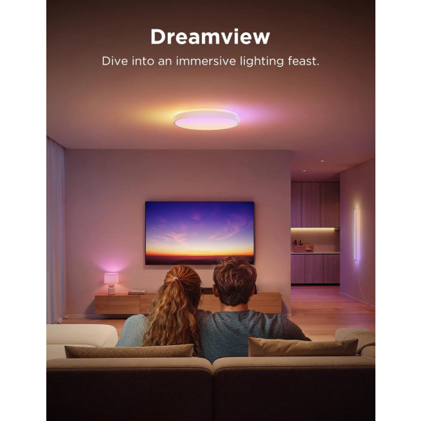 Фото - Умная лампа Govee Smart Ceiling Light Pro White (H60A6C01)