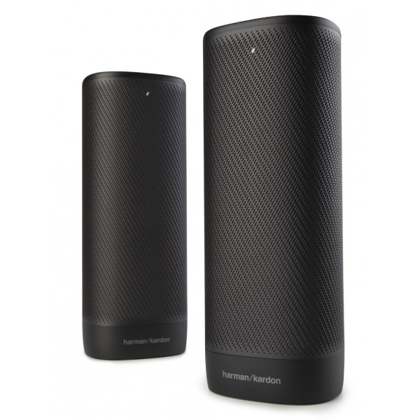 Фото - Домашний кинотеатр напольный Harman/Kardon HKSURROUNDBLKEP