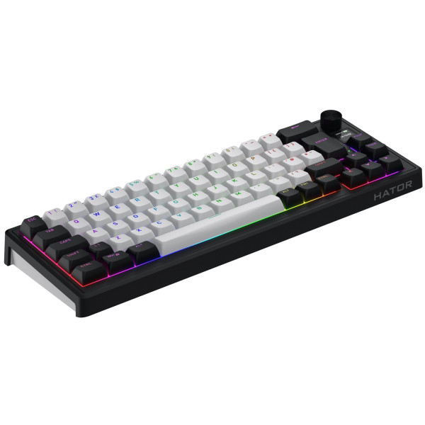 Фото - Клавиатура беспроводная игровая Hator Skyfall 65 MAG ULTIMA 8K wireless Black/White (HTK3860EU)