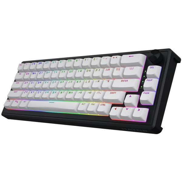 Фото - Клавиатура проводная игровая Hator Skyfall 65 MAG ULTRA 8K Black/White (HTK1860UA)