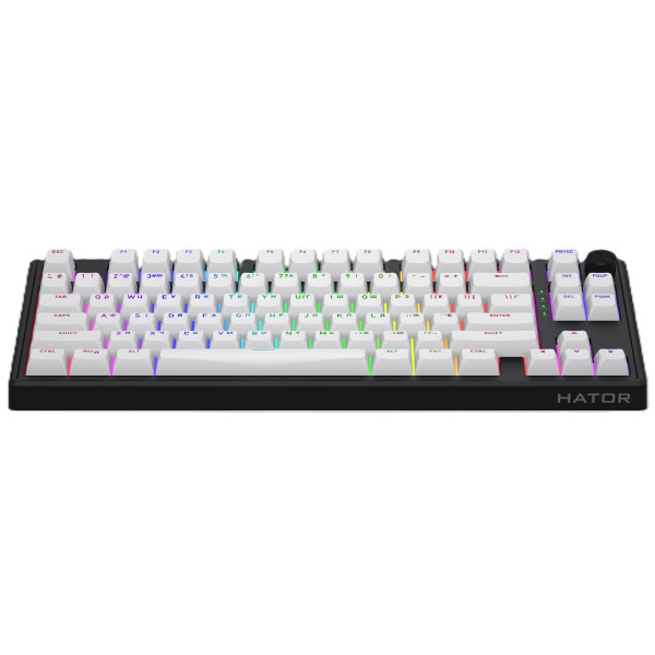 Фото - Клавиатура беспроводная игровая Hator Skyfall 80 wireless Black-White (HTK3180)