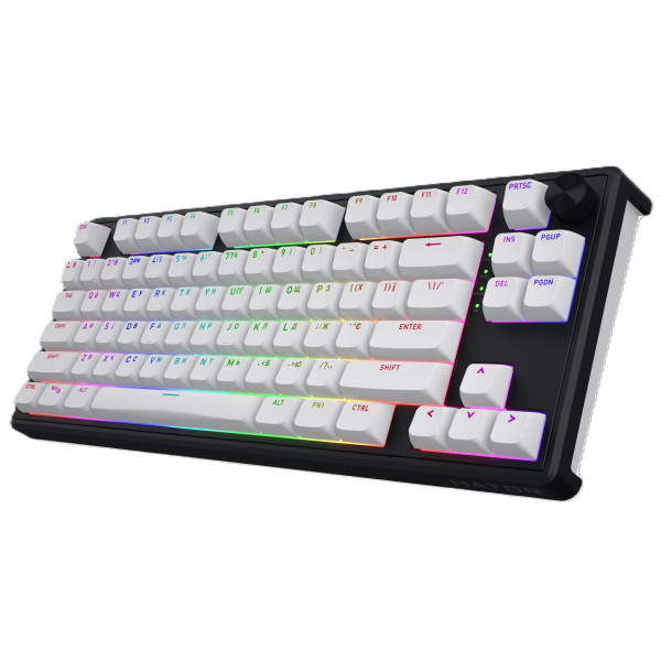 Фото - Клавиатура беспроводная игровая Hator Skyfall 80 wireless Black-White (HTK3180)