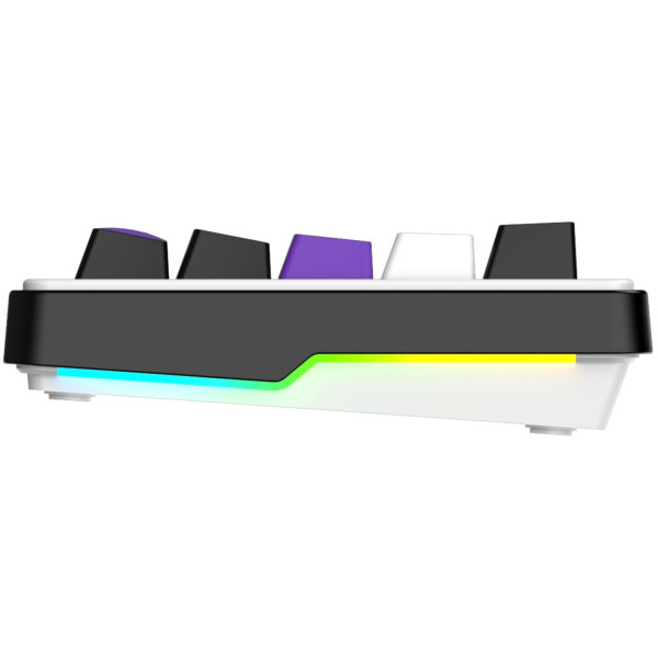 Фото - Клавиатура проводная игровая Hator Hellyberry HK60 White-Violet (HK60)