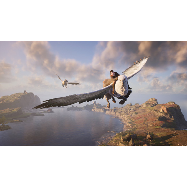Фото - Игровой диск PS4 Hogwarts Legacy Deluxe Edition [PS4, Blu-Ray диск]