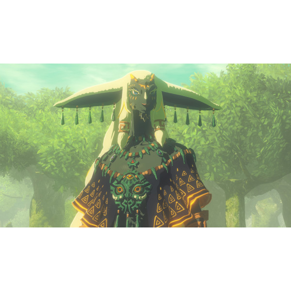 Фото - Игровой картридж Nintendo Hyrule Warriors: Age of Imprisonment [Nintendo Switch 2]