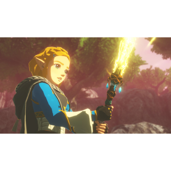 Фото - Игровой картридж Nintendo Hyrule Warriors: Age of Imprisonment [Nintendo Switch 2]