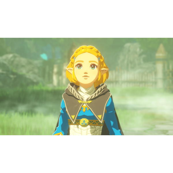 Фото - Игровой картридж Nintendo Hyrule Warriors: Age of Imprisonment [Nintendo Switch 2]