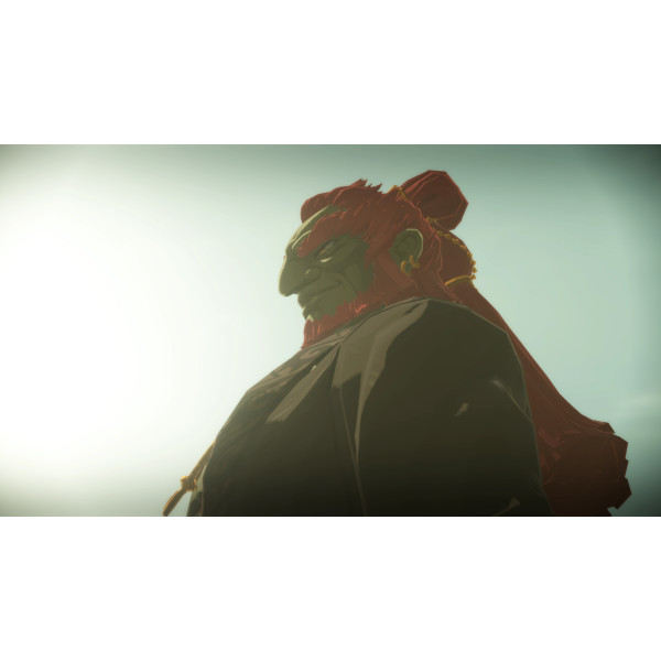 Фото - Игровой картридж Nintendo Hyrule Warriors: Age of Imprisonment [Nintendo Switch 2]