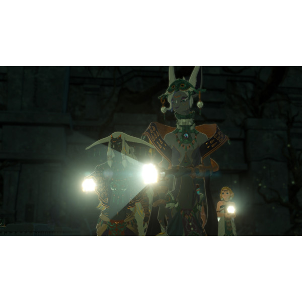 Фото - Игровой картридж Nintendo Hyrule Warriors: Age of Imprisonment [Nintendo Switch 2]