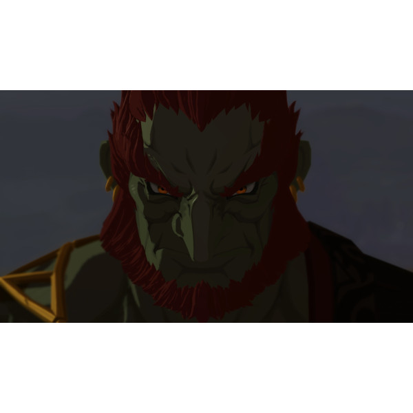 Фото - Игровой картридж Nintendo Hyrule Warriors: Age of Imprisonment [Nintendo Switch 2]