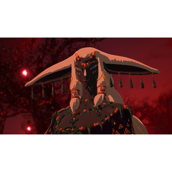 Фото - Игровой картридж Nintendo Hyrule Warriors: Age of Imprisonment [Nintendo Switch 2]