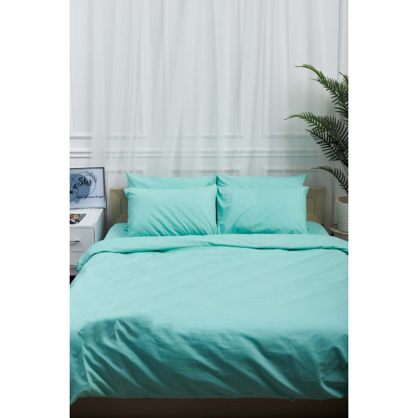 Фото - Комплект постельного белья Moon&Star 160х220х2 нав. 2х50х70 Mind Бязь Gold Люкс (MS-820001213)