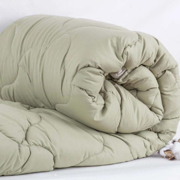 Фото - Одеяло всесезонное полуторное ТЕП DUO SEASON 150х210 см Оливковый/Молочный (1-04743_33890)