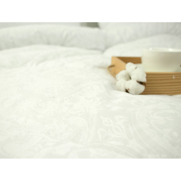 Фото - Одеяло всесезонное двуспальное евро Руно 200х220 силиконовое (322.02ГСЛУ_Белый вензель)