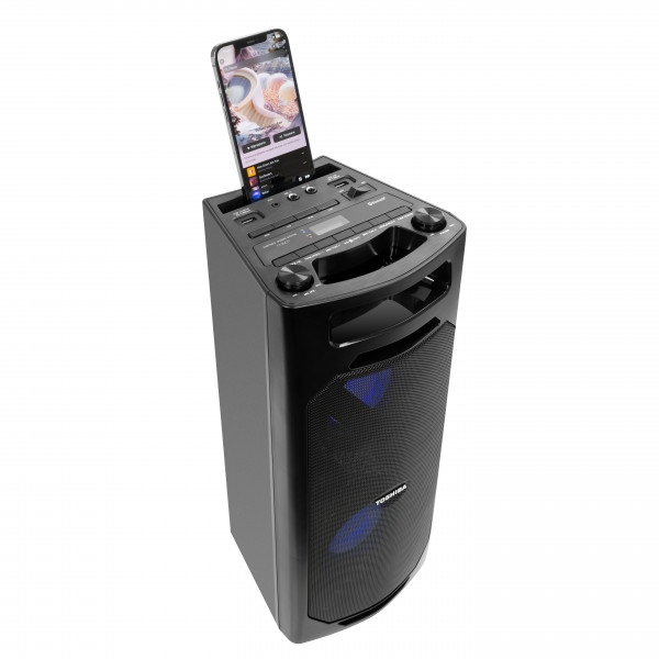 Фото - Акустическая система Toshiba Party Box TY-ASC51