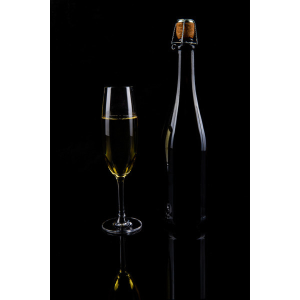 Фото - Набор бокалов Bohemia Sylvia 220 мл 6 шт. (b4S415)