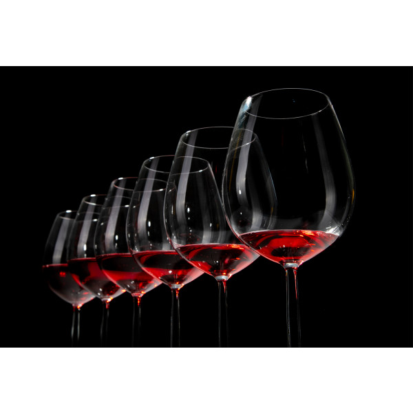 Фото - Набор бокалов Schott Zwiesel для красного вина, воды 6 шт. 0,613 л 104096