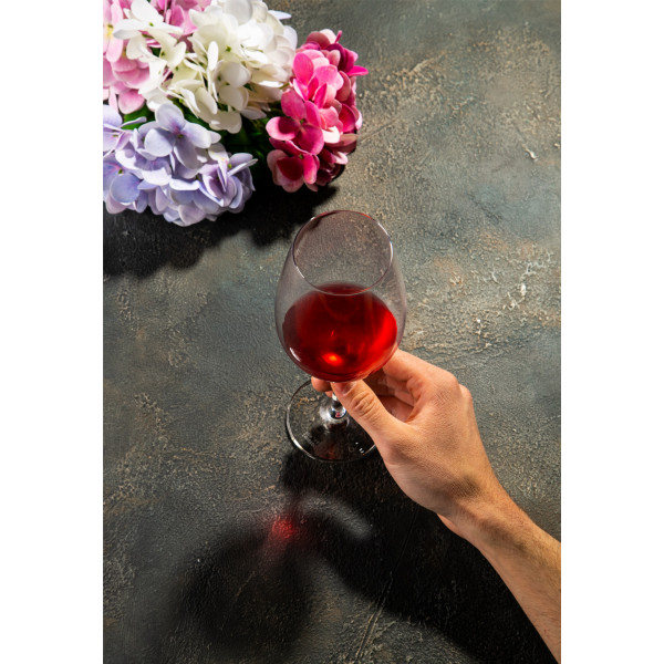 Фото - Набор бокалов Schott Zwiesel 118538 для красного вина, 0,5, 2шт